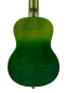 Preview: Ortega RUPR-IVY